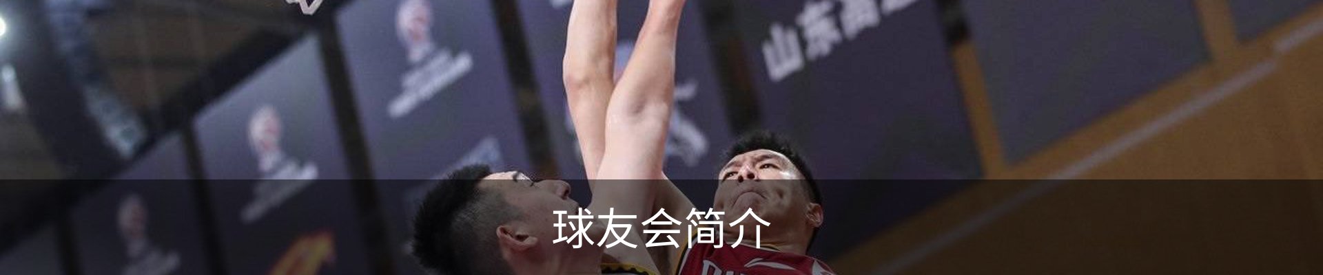 球友会简介